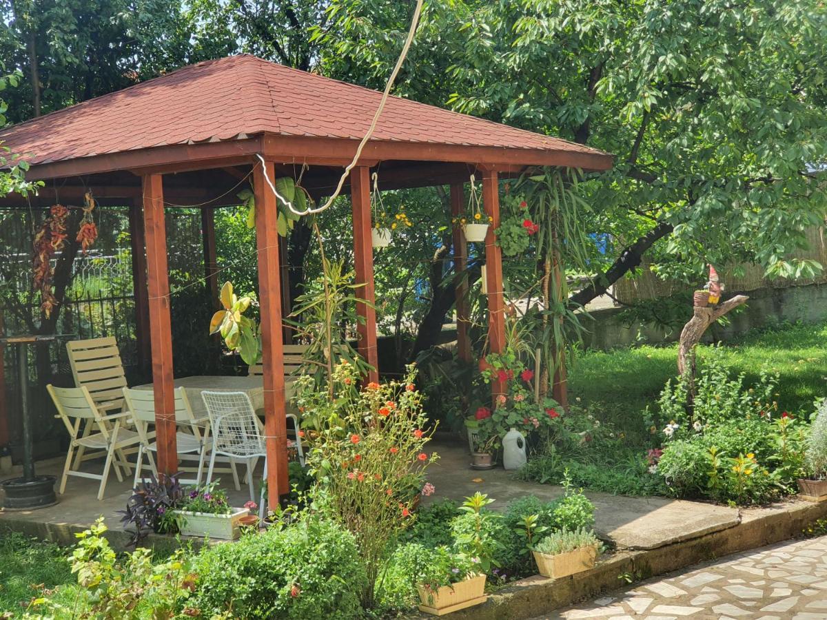 Villa Broj Jedan Delux Soko Banja Exterior foto